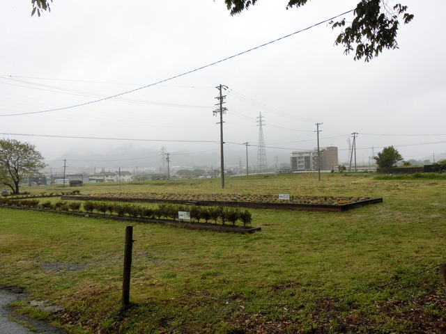 20190430_152054_CIMG9946