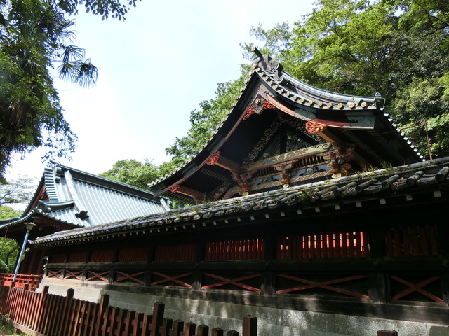 20190505_094853_CIMG1298