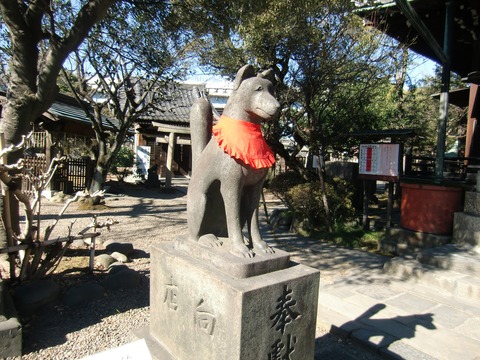 20170125_113529_CIMG3889