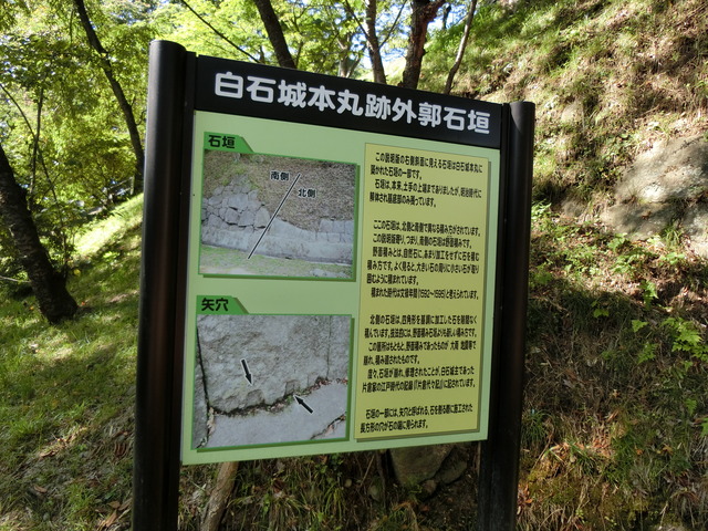 20190915_091250_CIMG5475