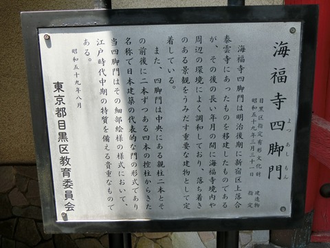 CIMG2377