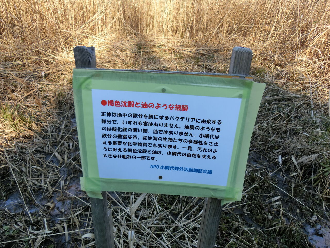 2 09 日 小網代の森えのきテラス 神奈川県 ウシ子とウシ夫の牛歩旅