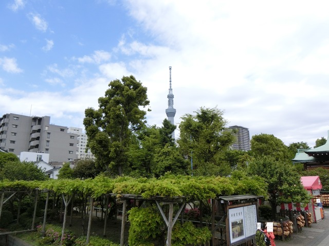 20190507_111715_CIMG1408