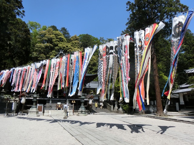20190502_131527_CIMG0552