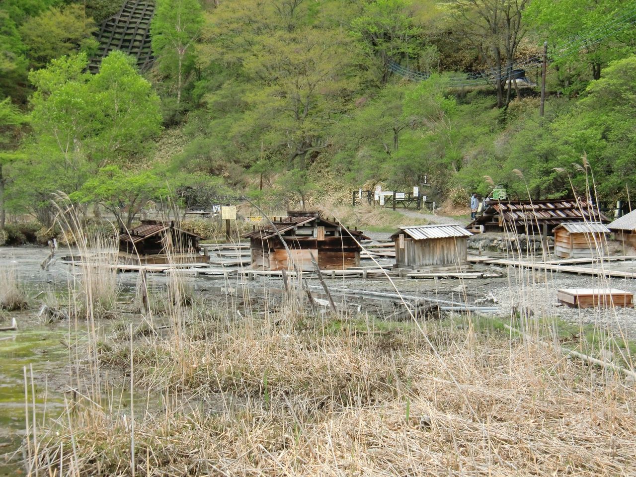 12 6 10 日 日光湯元温泉源泉 栃木県 ウシ子とウシ夫の牛歩旅