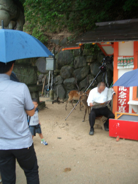 20090726_092506_CIMG2108