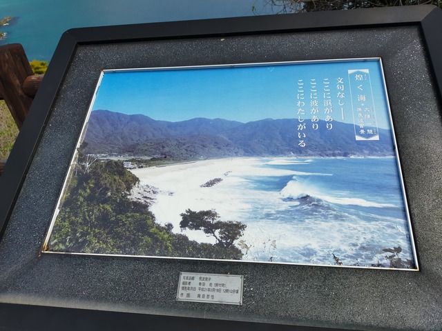 IMG20210317113713 (1)