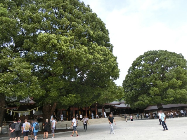 20190903_124629_CIMG5070
