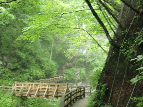 20120815_072927_CIMG1168
