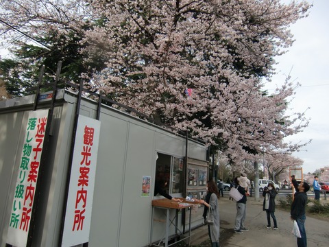 20160403_160931_CIMG6869
