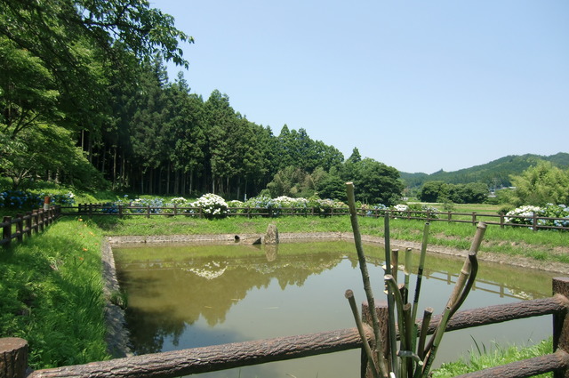 20170708_124218_CIMG1534