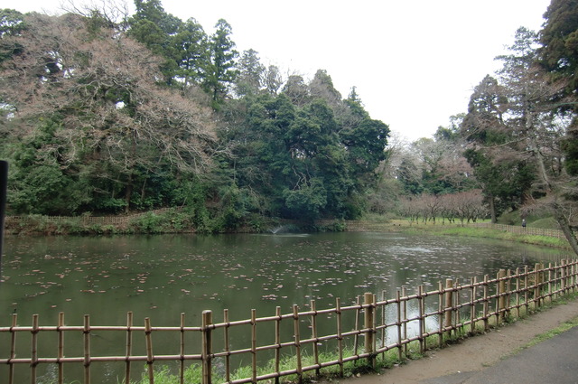 20170401_143330_CIMG7613