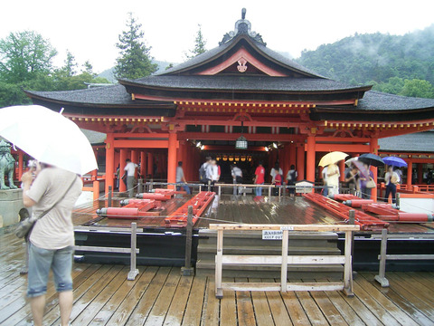 20090726_093637_RIMG0265