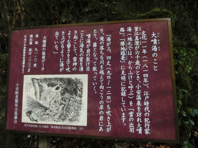 20190718_164454_CIMG4492