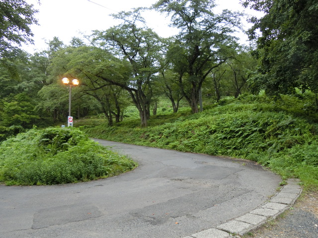 20190916_080124_CIMG5670