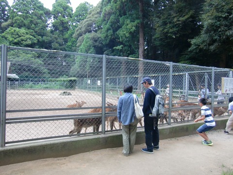 20120722_135353_CIMG1070