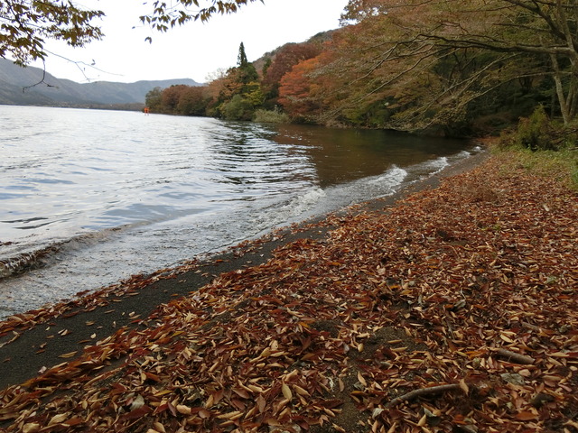 20181103_101240_CIMG3333