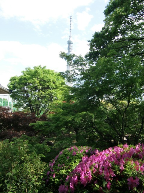 20130427_143950_CIMG1612