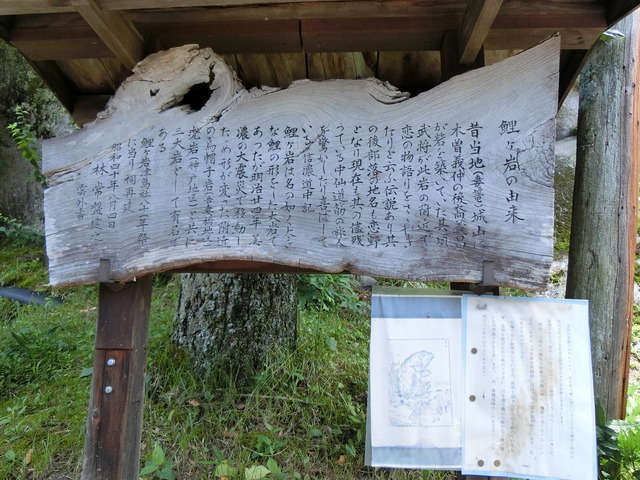 20180624_113156_CIMG1026