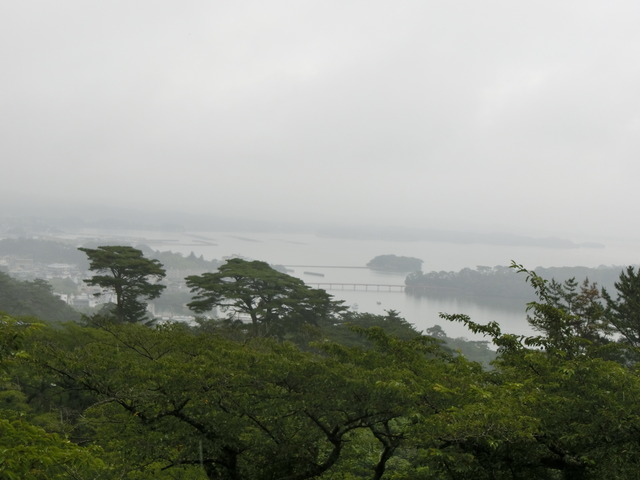 20190719_081853_CIMG4562