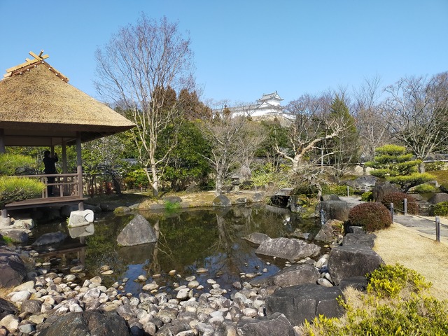 IMG20210310150610 (1)