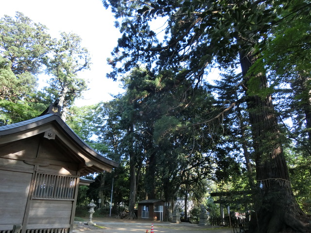20180421_160115_CIMG9156