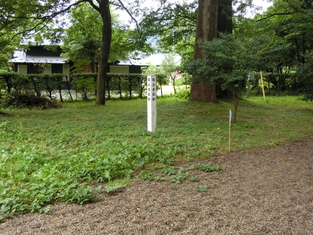 20190712_131224_CIMG2538