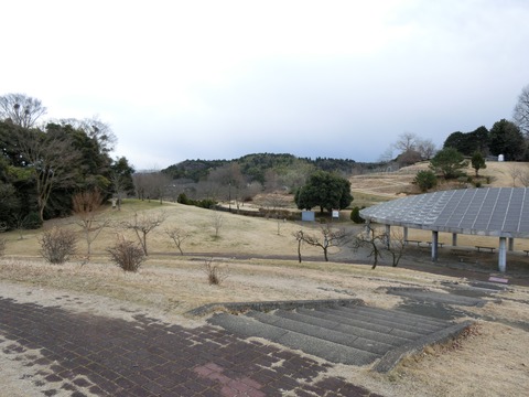 CIMG7581