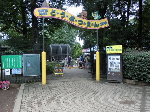 CIMG3274
