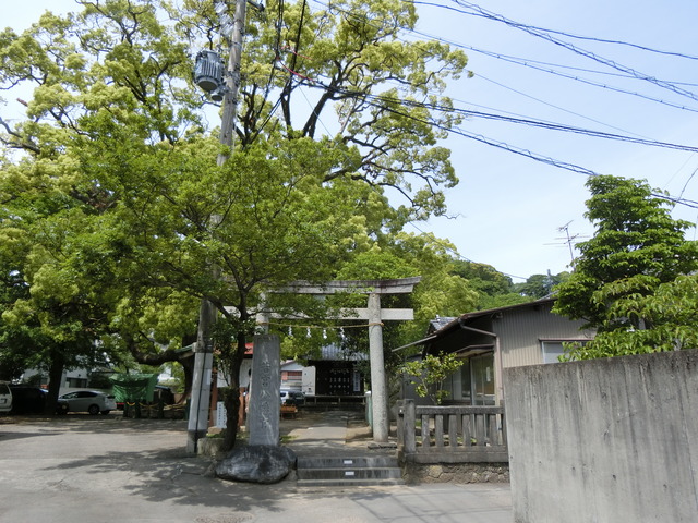 20190505_103946_CIMG1320