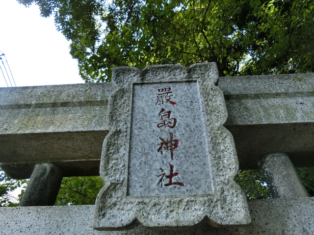 20180625_115158_CIMG1149