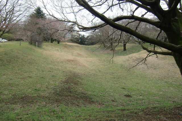 20170401_140057_CIMG7555