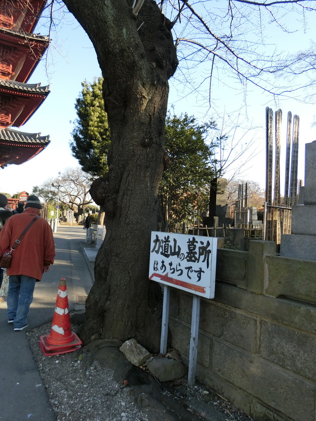 20180113_143155_CIMG7496