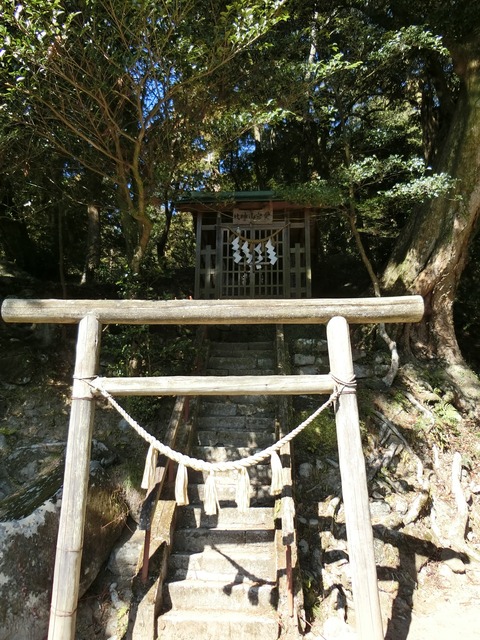 CIMG0356