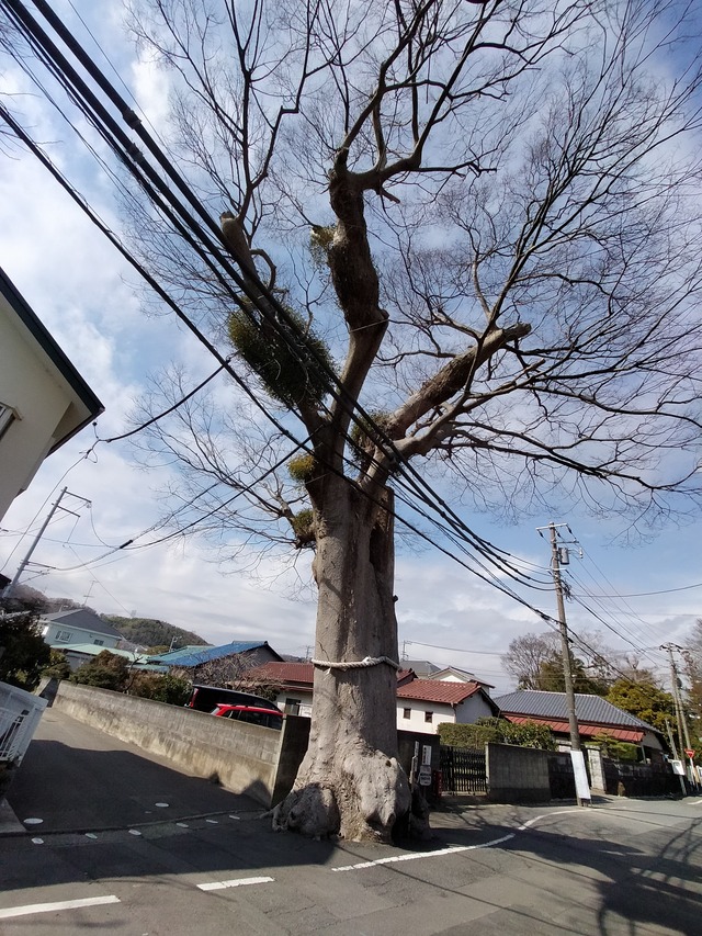 IMG20210309132028