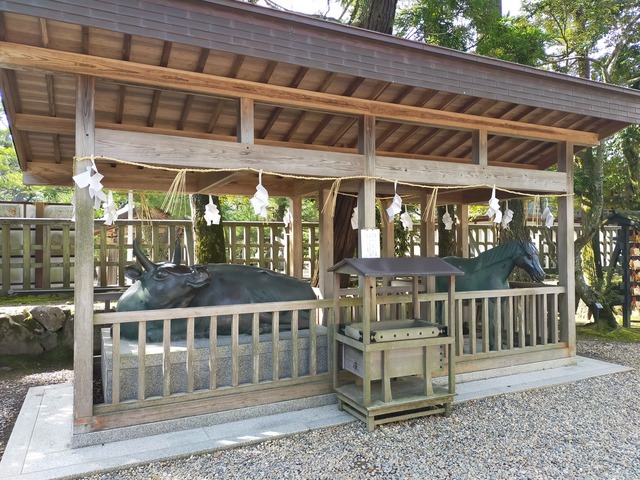 IMG20210311095145