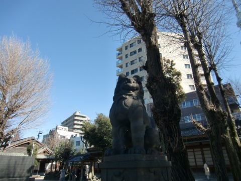 20170125_115937_CIMG3931