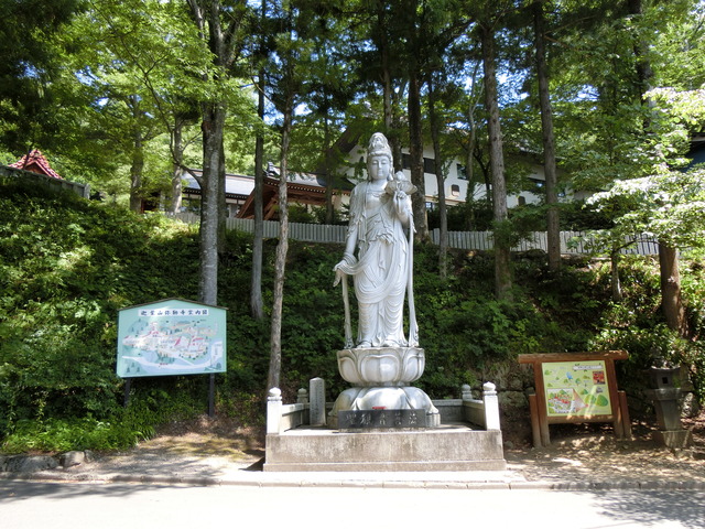 20180805_103809_CIMG1764