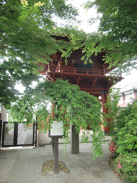 20130615_115639_CIMG1743