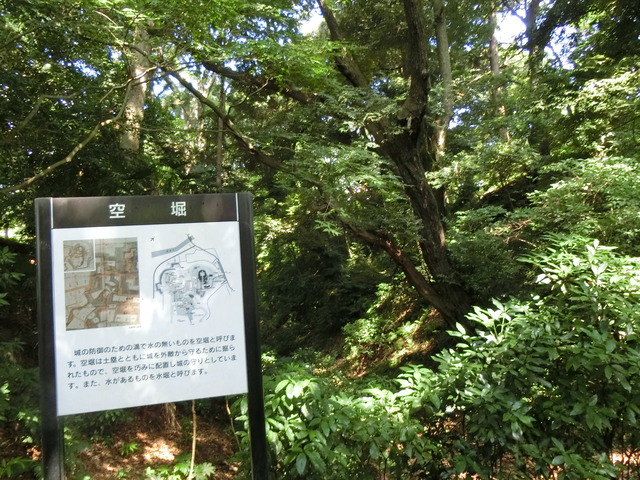 20180609_085441_CIMG0100