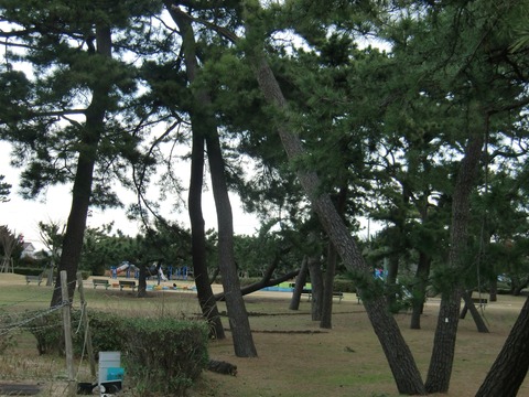 20170114_145400_CIMG3199