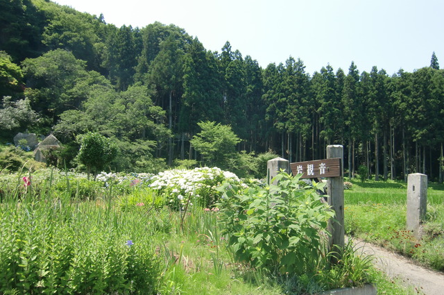 20170708_124103_CIMG1531