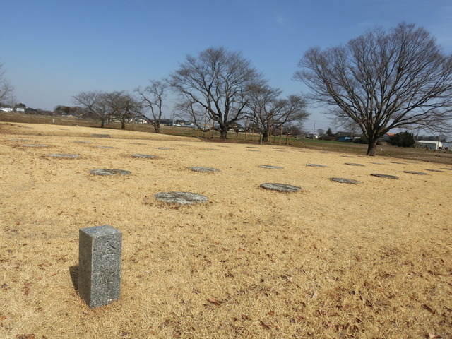 20190224_123002_CIMG7080