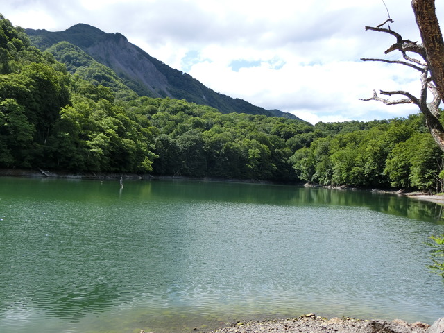 20190716_091135_CIMG3778