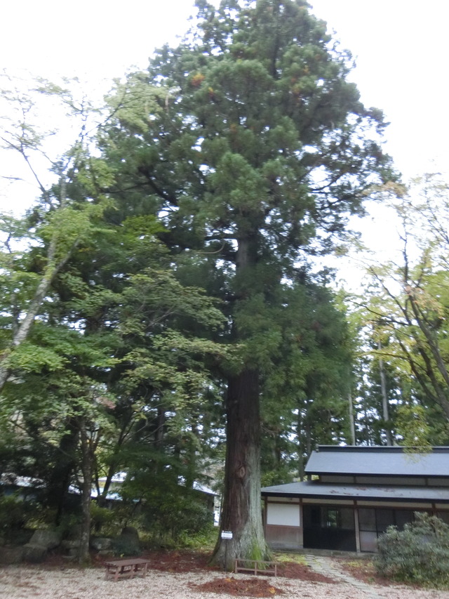 20191021_161758_CIMG6773