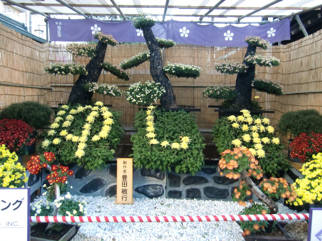16 11 12 土 湯島天神 菊まつり 東京都 ウシ子とウシ夫の牛歩旅