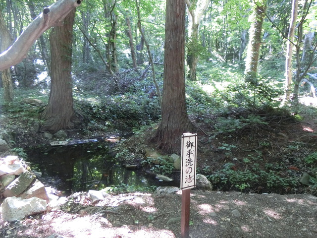 20190715_144527_CIMG3549