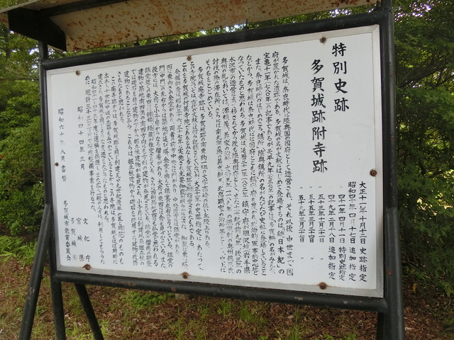 20190719_153021_CIMG4704