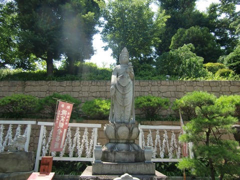 20160618_124523_CIMG7446