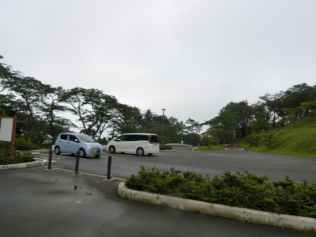 20190719_080859_CIMG4552
